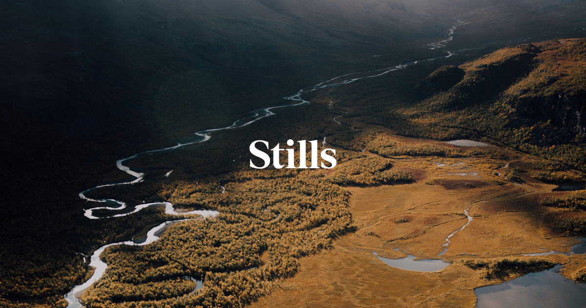 High-Res Mint Julep Images for Your Projects